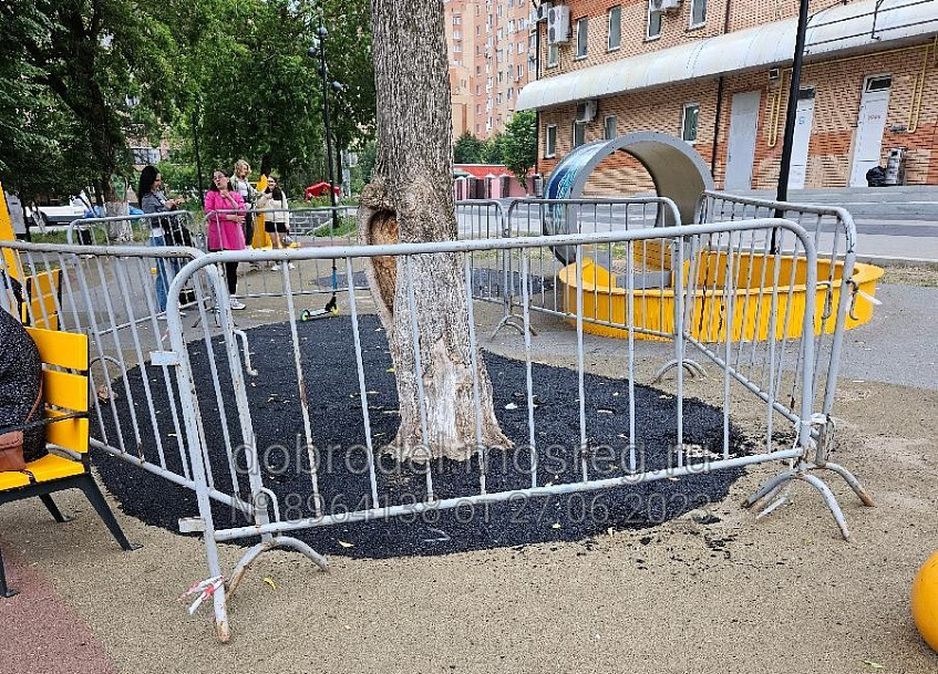 Единственное дерево на новой детской площадке в Истре «закатали» 
